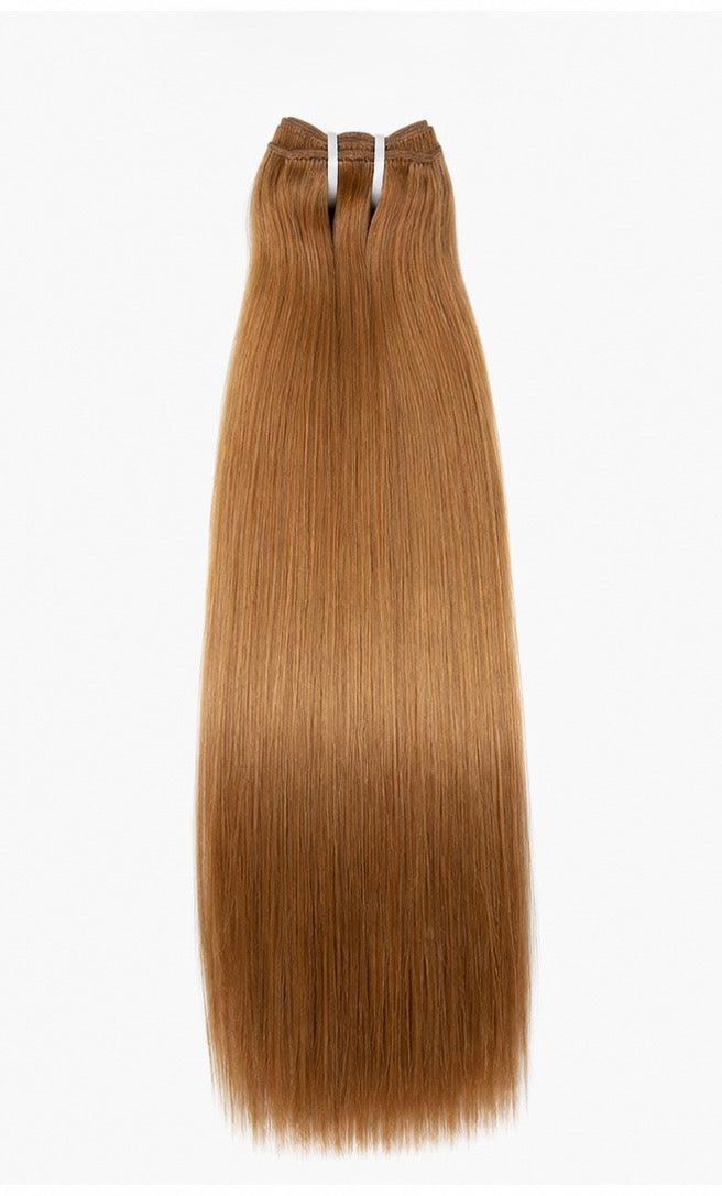 Raw Vietnamese Bone Straight Hair Bundle | 100g Single Bundle