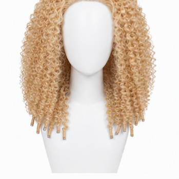 Raw Vietnamese Kinky Curly Wig | HD 13×6 Lace Frontal